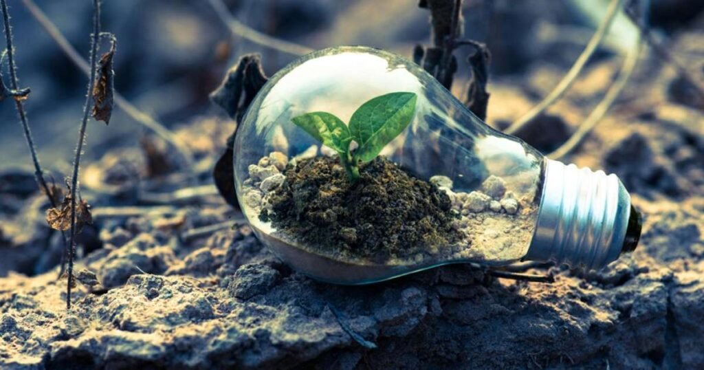 Uma muda cresce dentro de uma lâmpada em solo seco, simbolizando sustentabilidade e inovação ambiental.