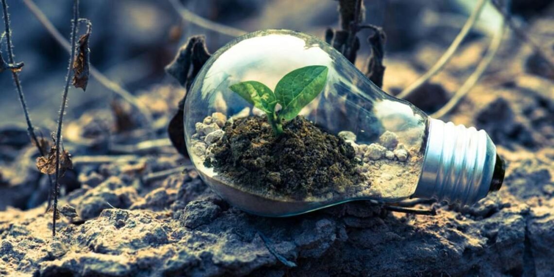 Uma muda cresce dentro de uma lâmpada em solo seco, simbolizando sustentabilidade e inovação ambiental.