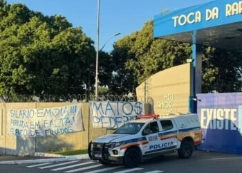 Organizadas do Cruzeiro cobram Mattos e elenco por resultados 33 CNN Brasil