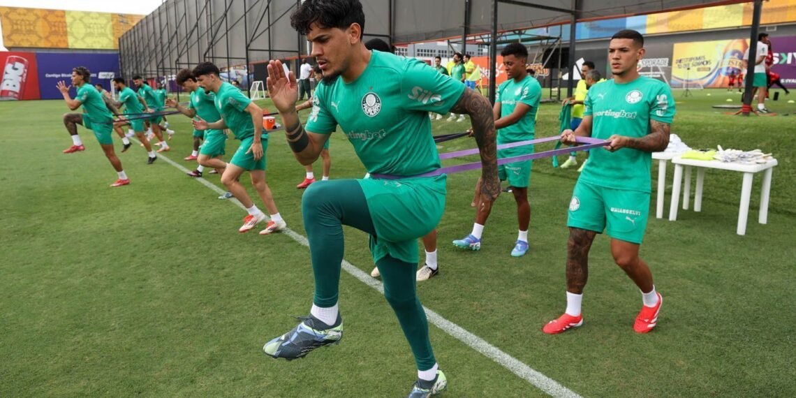 Palmeiras: Gómez retorna e jogador "badalado" será titular 31 CNN Brasil