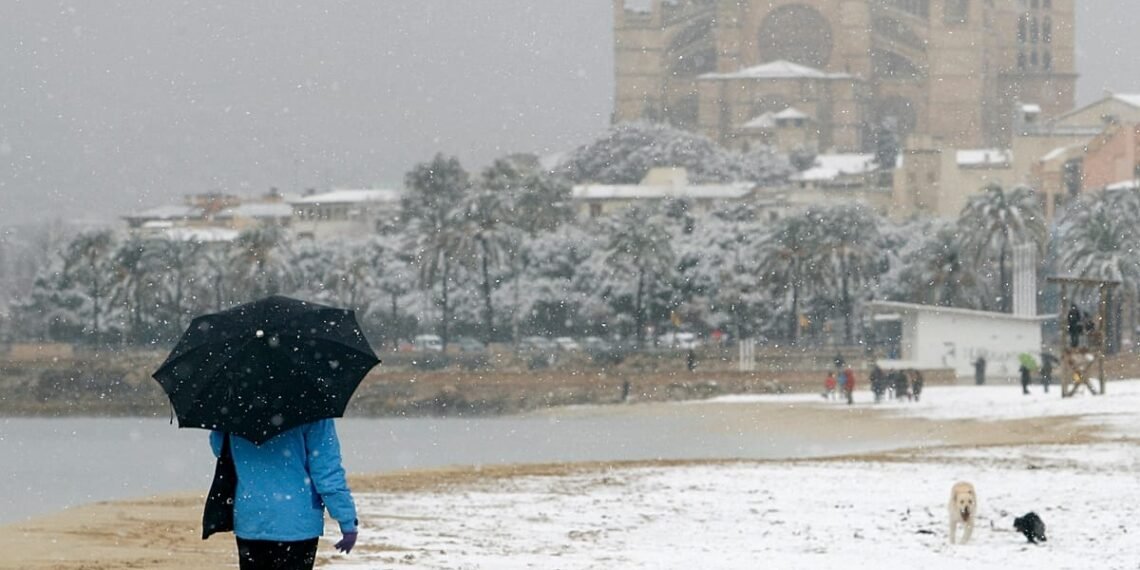 Schnee auf Mallorca: ist die Insel im Winter ein Zufluchtsort? 31 Schnee unter Palmen: Ist Mallorca ein guter Zufluchtsort im Winter?