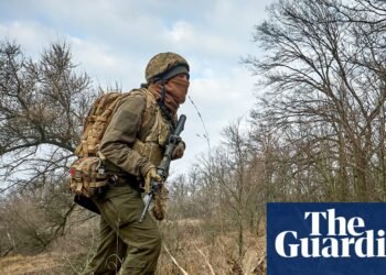 Putin é instado a não desperdiçar tempo no conflito da Ucrânia 35 Ukraine war briefing: Stop wasting the world’s time, Putin told | Ukraine