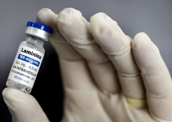 Droga liberada para estudo pode ser totalmente produzida no país 35 liberada para estudo, droga pode ser totalmente produzida no país