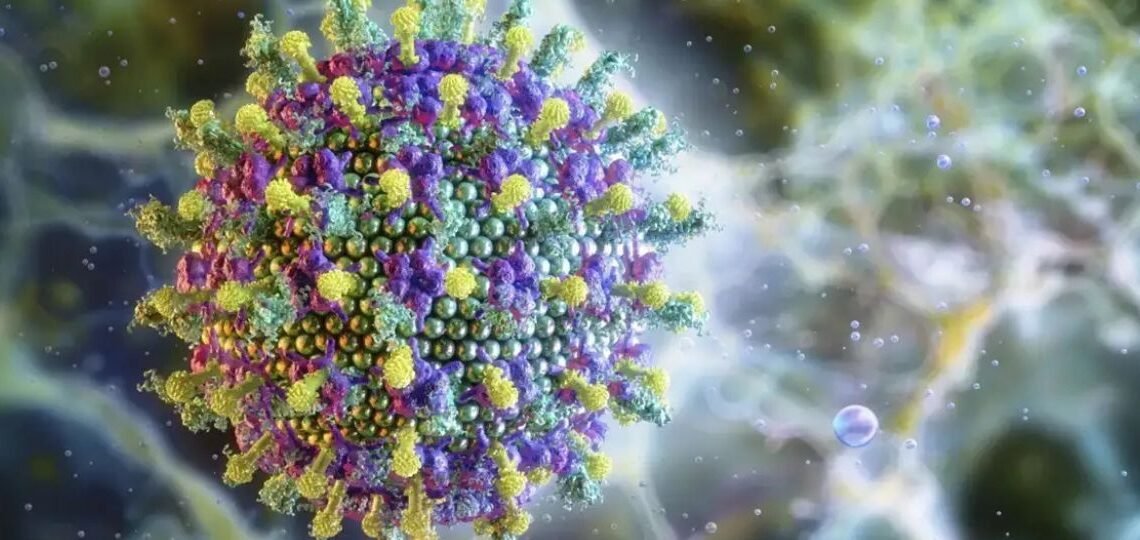 Animal de 1,80m é principal portador do vírus Nipah 31 Animal que ultrapassa 1,80m é o principal portador do Vírus Nipah